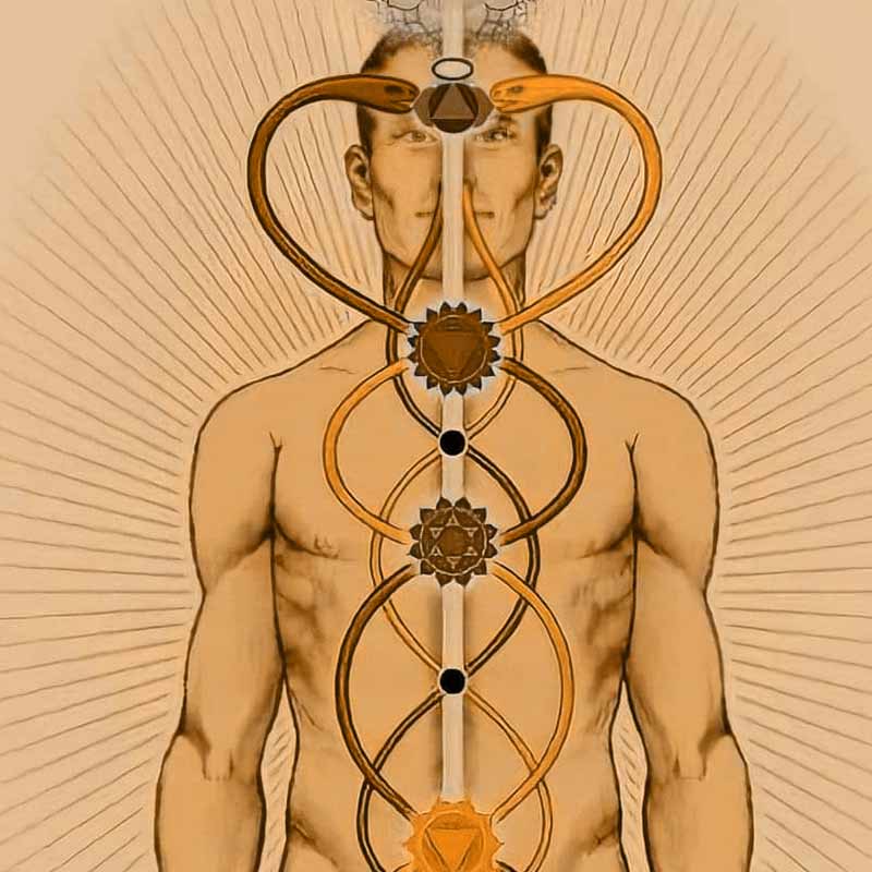 Que son los chakras Chakras Kundalini