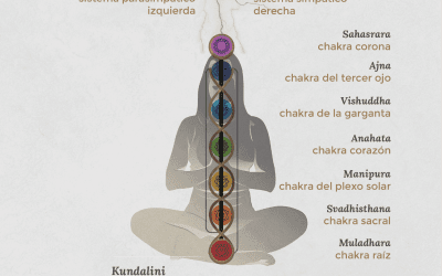 ¿Qué es el cuerpo energético?
