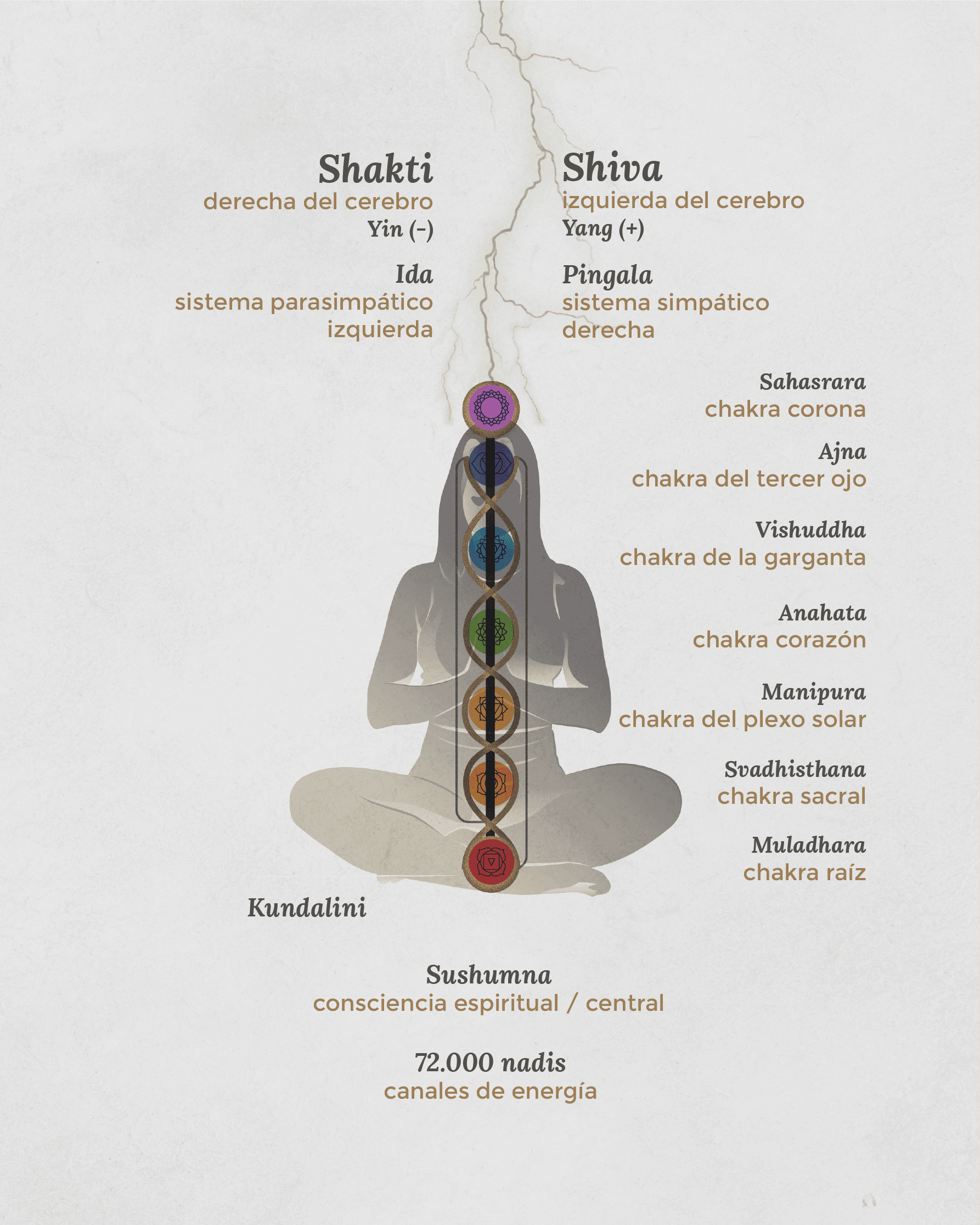 cuerpoenergetico_02_Mesa de trabajo 1 copia 22 Chakras Kundalini