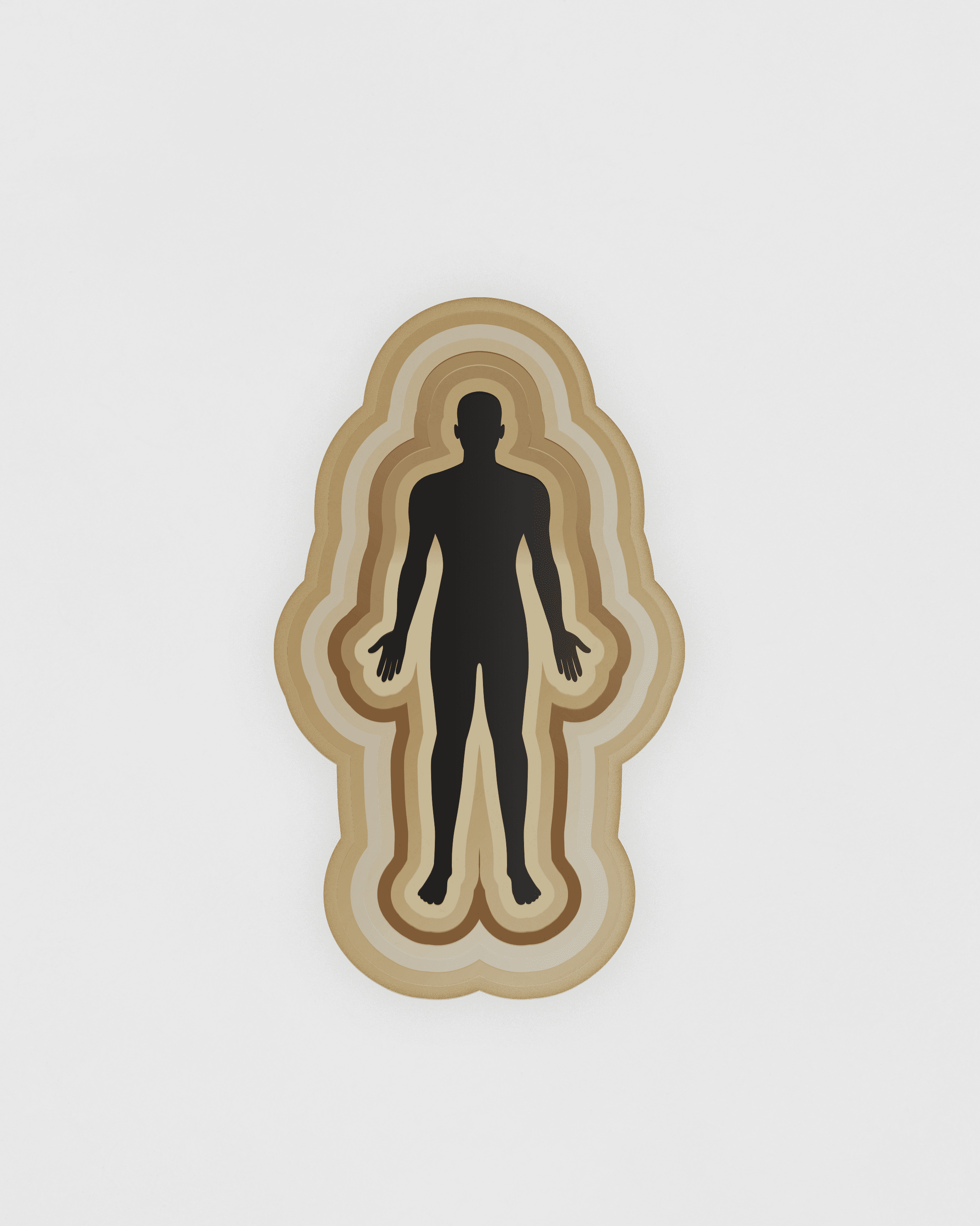 cuerpos_capitulo