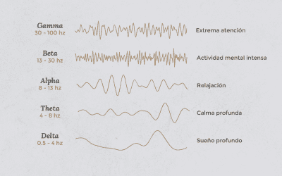 Las frecuencias vibratorias de cuerpo humano