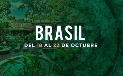 Formación Activación Kundalini Serpent Brasil